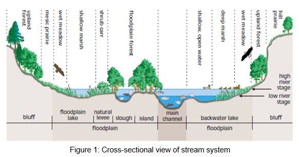 Chapter 11 Supplemental chapter on field methods in fluvial ...